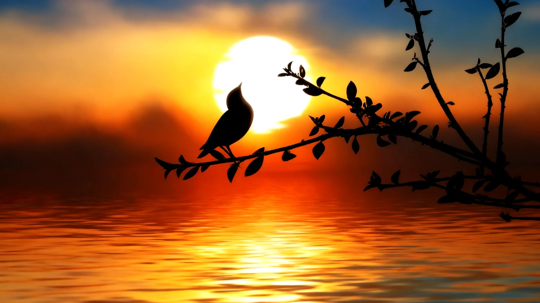 Beautiful 2026-01-25T08:38:45.458Z"