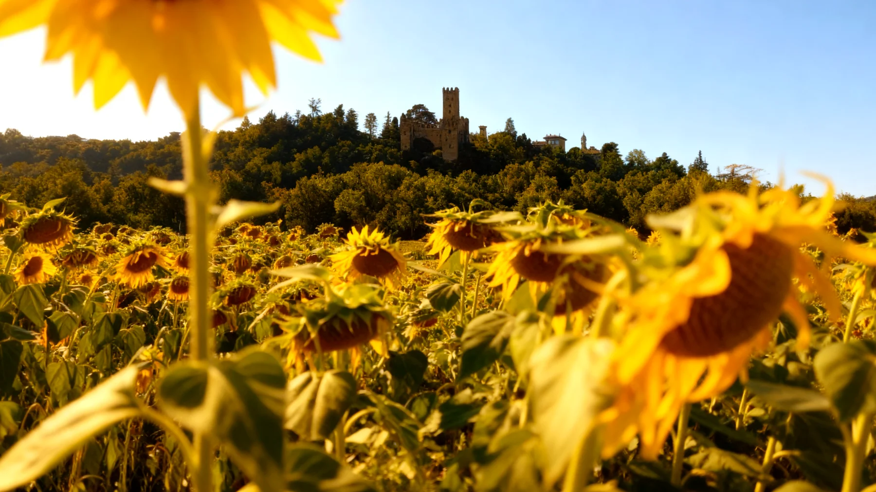 La forza di una donna2026-01-30T14:35:26.768Z"